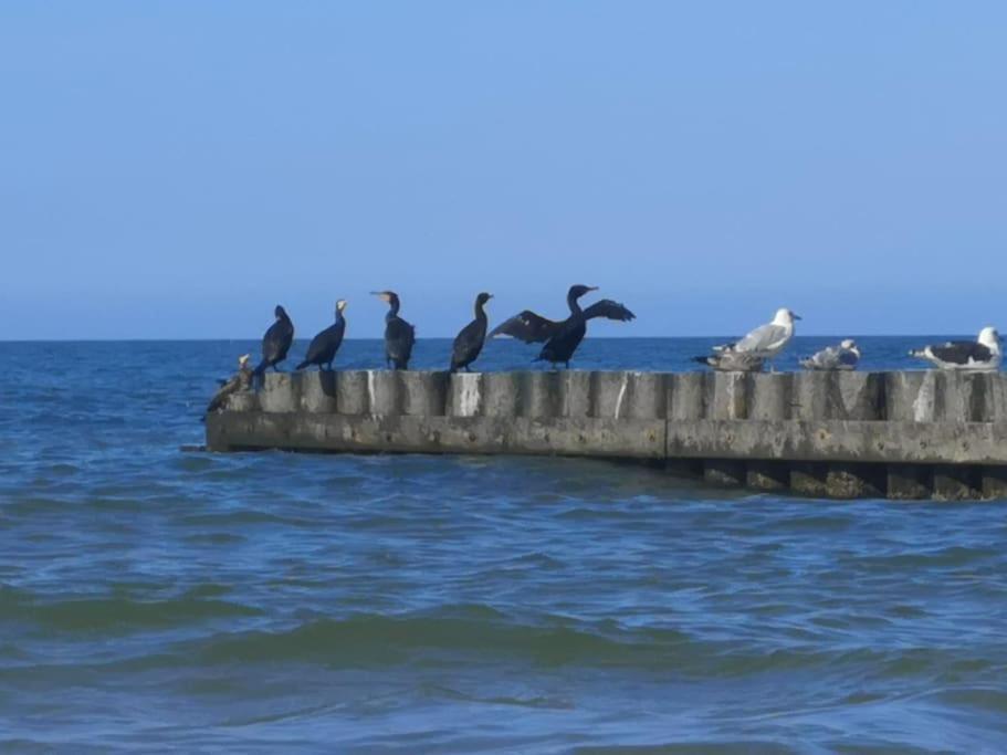 Nad Morzem „przy Klifie” Debina (Ustka)