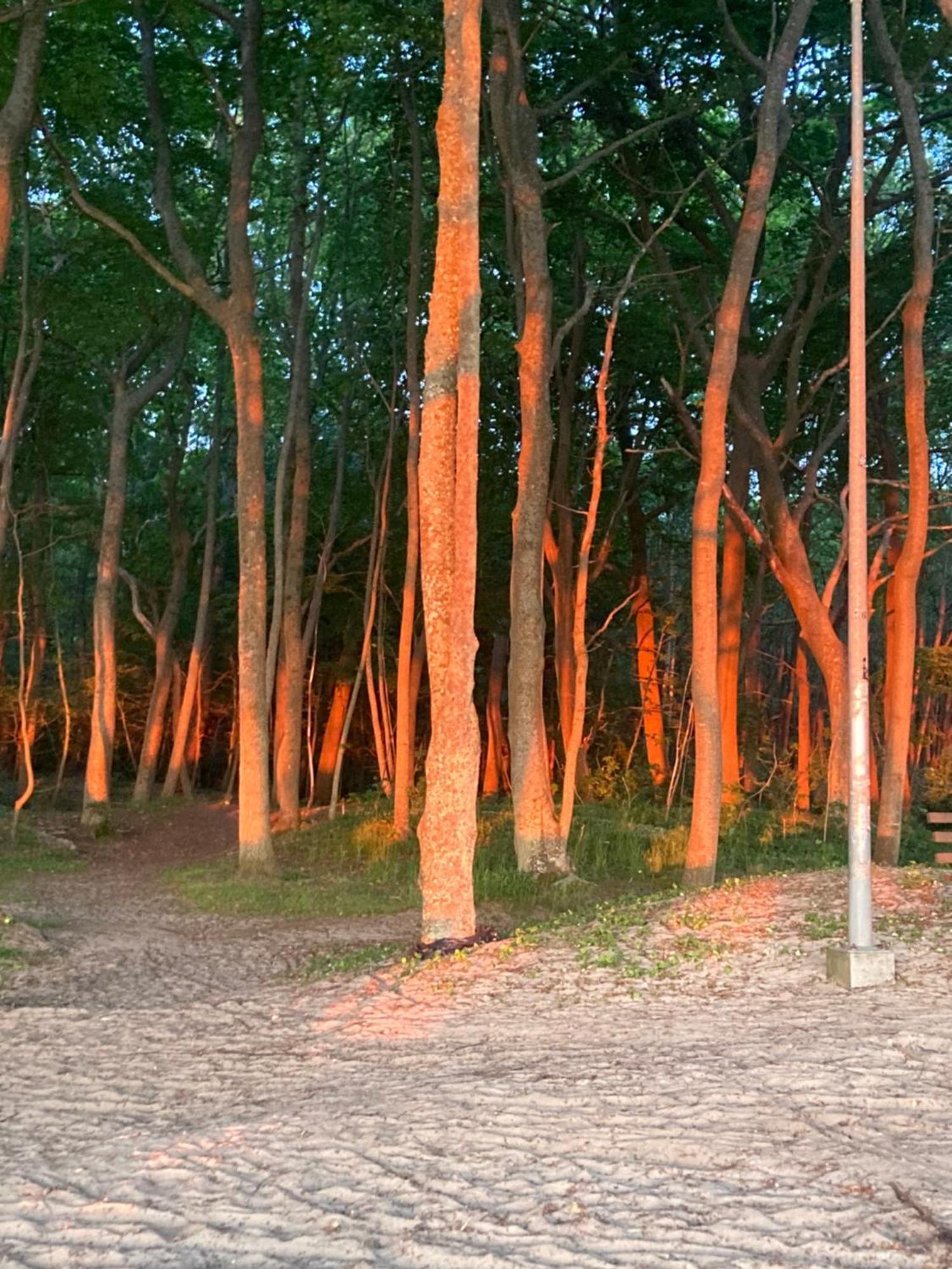 Nad Morzem „przy Klifie” Debina (Ustka)