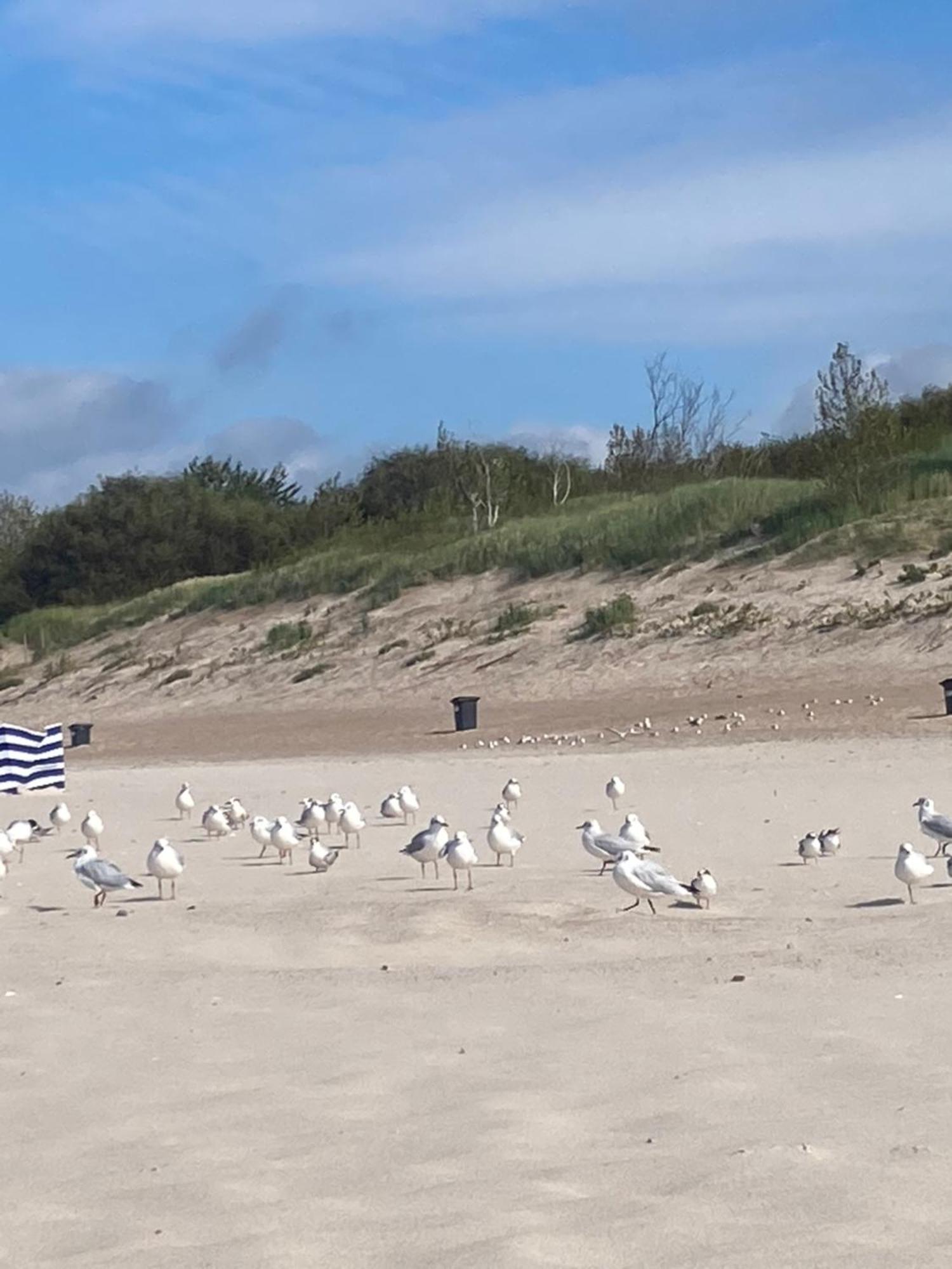 Nad Morzem „przy Klifie” * Debina (Ustka)
